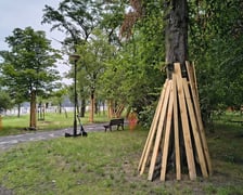 <p>Park Szczytnicki - zabezpieczenie zieleni przed pracami remontowymi, lipiec 2026</p>
