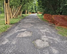 <p>Park Szczytnicki - zabezpieczenie zieleni przed pracami remontowymi, lipiec 2026</p>
