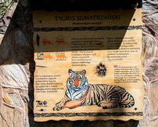 <p>Tablica informacyjna we wrocławskim zoo</p>