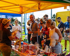 <p>Forever Run. Charytatywny bieg w Lesie Osobowickim i piknik&nbsp; dla zwierzak&oacute;w ze schroniska przy Ślazowej. Wrocław, 30.08.2026</p>
