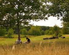 Park Tysiąclecia we Wrocławiu