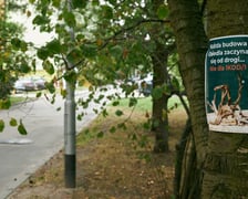 Plakat "każda budowa zaczyna się od drogi..." powieszony na drzewie