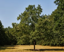 Park Zachodni we Wrocławiu