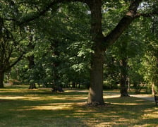 Park Zachodni we Wrocławiu