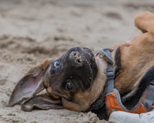 ?Ekostraż na chillu? w Basen Beach Bar już w sobotę, 6 sierpnia