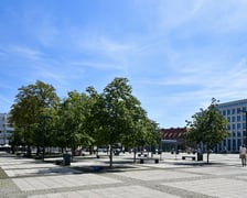 Plac Nowy Targ we Wrocławiu wkrótce będzie bardziej zielony