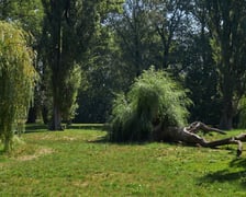 park Wschodni Wrocław