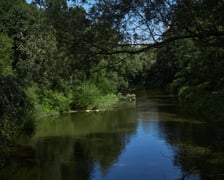 park Leśnicki