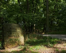 Park Złotnicki we Wrocławiu