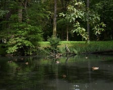 Park Strachowicki kusi spokojem i pięknymi stawami