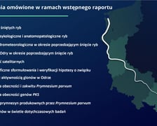 raport w sprawie katastrofy ekologicznej na Odrze