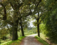 najczęściej park Biskupiński, inaczej zwany Nadodrzańskim