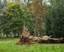 Park Popowicki we Wrocławiu