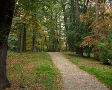 Park Popowicki we Wrocławiu