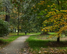 Park Popowicki we Wrocławiu