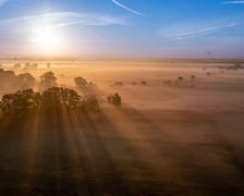 Pola irygacyjne we Wrocławiu na Osobowicach