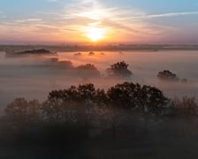 Pola irygacyjne we Wrocławiu na Osobowicach