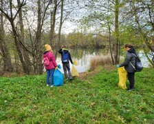 Mieszkańcy Maślic sprzątali w weekend osiedle. Posadzili też drzewa i krzewy