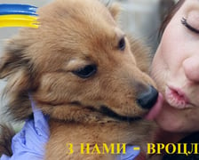 Na zdjęciu pies z Ukrainy i jego opiekunka
