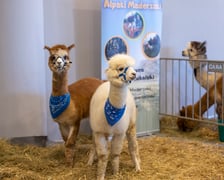 Targi  zoologiczne odbyły się na stadionie we Wrocławiu w weekend