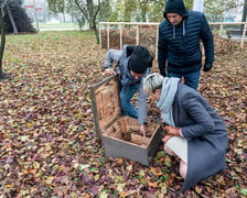 Na zdjęciu domek dla jeży w parku Słowackiego we Wrocławiu