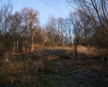 Na zdjęciu teren przy ul. Kunickiego na wrocławskim Muchoborze z grudnia 2022 r.