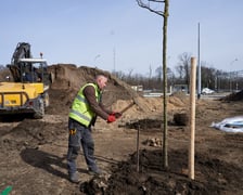 Tak powstaje park na Nowym Dworze przy ul. Rogowskiej. Dzięki temu pętla autobusowo-tramwajowa kończąca TAT będzie dużo bardziej urokliwa, a okolica zyska "płuca".