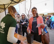 Zielony piknik na placu Strzegomskim