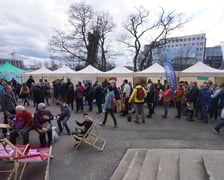 Zielony piknik na placu Strzegomskim