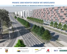 Taka pięknie wyglądać będzie ulica Legnicka w pobliżu Magnolii, gdy drzewa urosną.