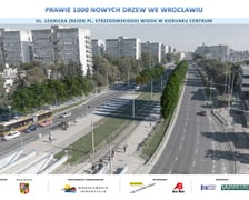 Taka pięknie wyglądać będzie ulica, gdy drzewa urosną.