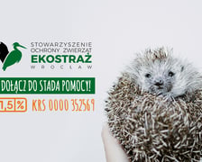 <p>Zebrane środki Ekostraż wykorzystuje na pomoc wszystkim cierpiącym zwierzętom z Dolnego Śląska, niezależnie od ich przynależności gatunkowej: od lis&oacute;w, przez psy i koty, po ptaki czy wiewi&oacute;rki. Środki z jednego procenta umożliwiają także skuteczne ratowanie chorych, rannych i osłabionych dolnośląskich dzikich jeży. Każdego roku Ekostraż podejmuje ponad 500 interwencji, ocalając setki zwierząt przed b&oacute;lem, cierpieniem i obojętnością.</p>
<p><a href="https://www.facebook.com/EKOSTRAZ" target="_blank" rel="nofollow noopener">Aby przekazać 1,5 procent swojego podatku na rzecz zwierząt z interwencji wrocławskiej Ekostraży</a>, wystarczy w odpowiednich rubrykach formularza podatkowego wpisać numer KRS: 0000352569 oraz należną kwotę 1,5 proc. podatku.</p>