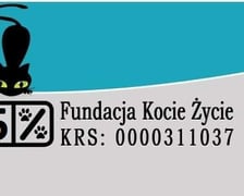 <p><a href="https://www.facebook.com/FundacjaKocieZycie" target="_blank" rel="nofollow noopener">Aby wspom&oacute;c Fundację Kocie Życie</a>, wystarczy w swoim zeznaniu podatkowym wpisać nr KRS: 0000311037.</p>