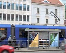 <p>Pierwsza we Wrocławiu zielona wiata na przystanku</p>
