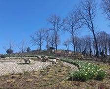 Arboretum Wojsławice