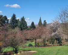 Arboretum Wojsławice