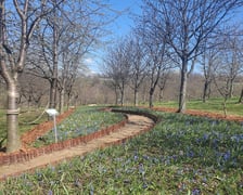 Arboretum Wojsławice