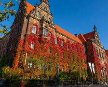 Pnącze na Muzeum Narodowym we Wrocławiu