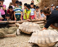 Praca w zoo wymaga odpowiedniego przygotowania