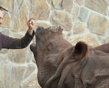 Praca w zoo wymaga odpowiedniego przygotowania