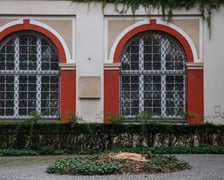 Dziedziniec Ossolineum, na którym rósł ponad stuletni kasztanowiec