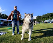 Międzynarodowa Wystawa Psów Rasowych na Stadionie Olimpijskim - 23 i 24 września 2023 r.