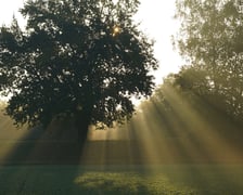 Wschód słońca na łące w pobliżu Jazu Opatowice