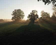 Wschód słońca na łące w pobliżu Jazu Opatowice