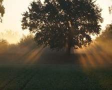 Wschód słońca na łące w pobliżu Jazu Opatowice