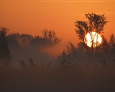 Wschód słońca na łące w pobliżu Jazu Opatowice