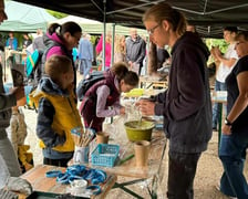 Piknik Paleontologiczny we wrocławskim Ogrodzie Botanicznym