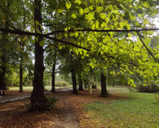 Park Skowroni, październik 2023