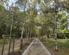 Park Skowroni, październik 2023
