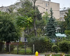 Zdjęcie przedstawia wstępny obszar zakresu Projektu NEEST - pilotaż będzie skupiał się Przedmieściu Oławskim i będzie obejmował obszar pomiędzy ulicami: Traugutta, Prądzyńskiego, Kościuszki, Komuny Paryskiej i Więckowskiego.